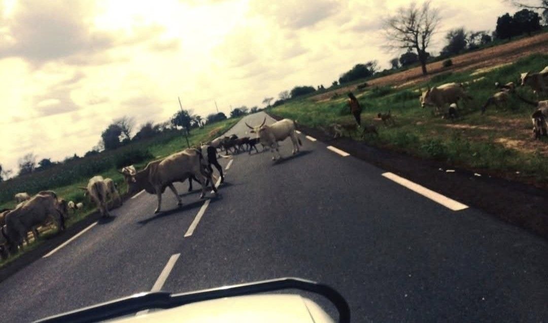 Souvenir de voyage au Sénégal